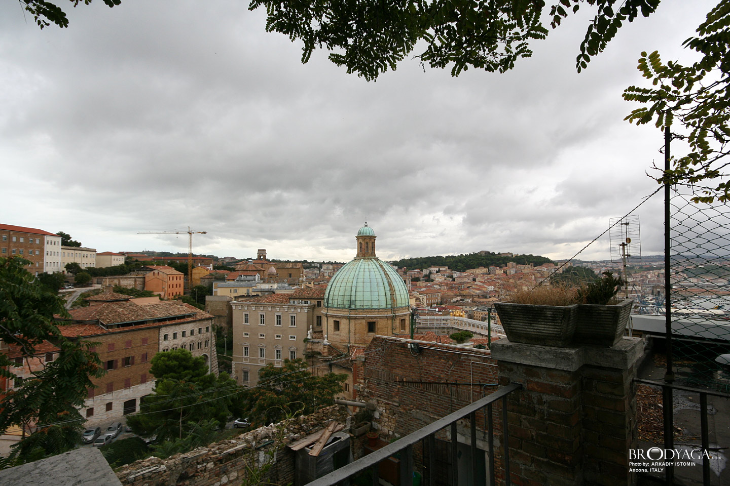 Ancona